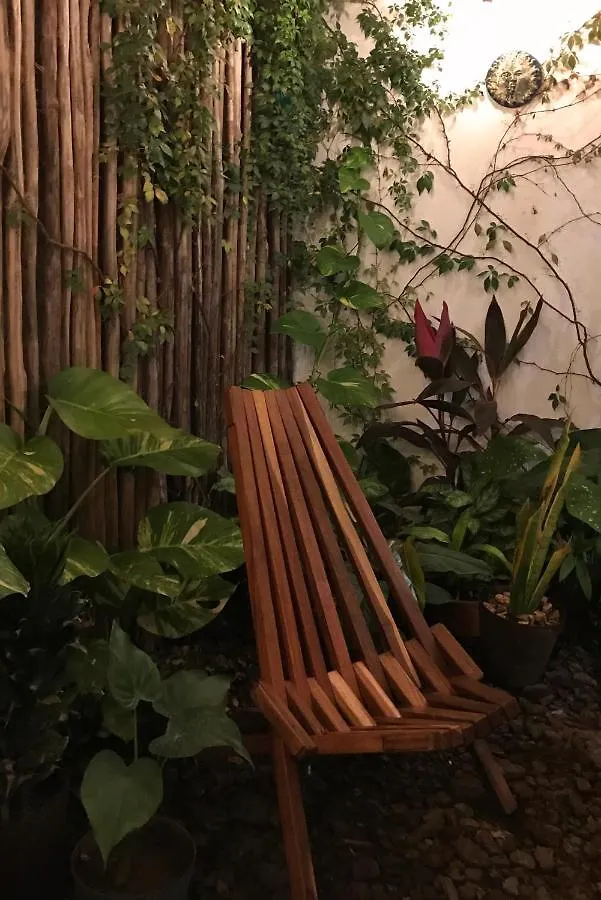 Casa Jabin - Lovely, Stylish And Cozy Apartment 신데 델 카르멘